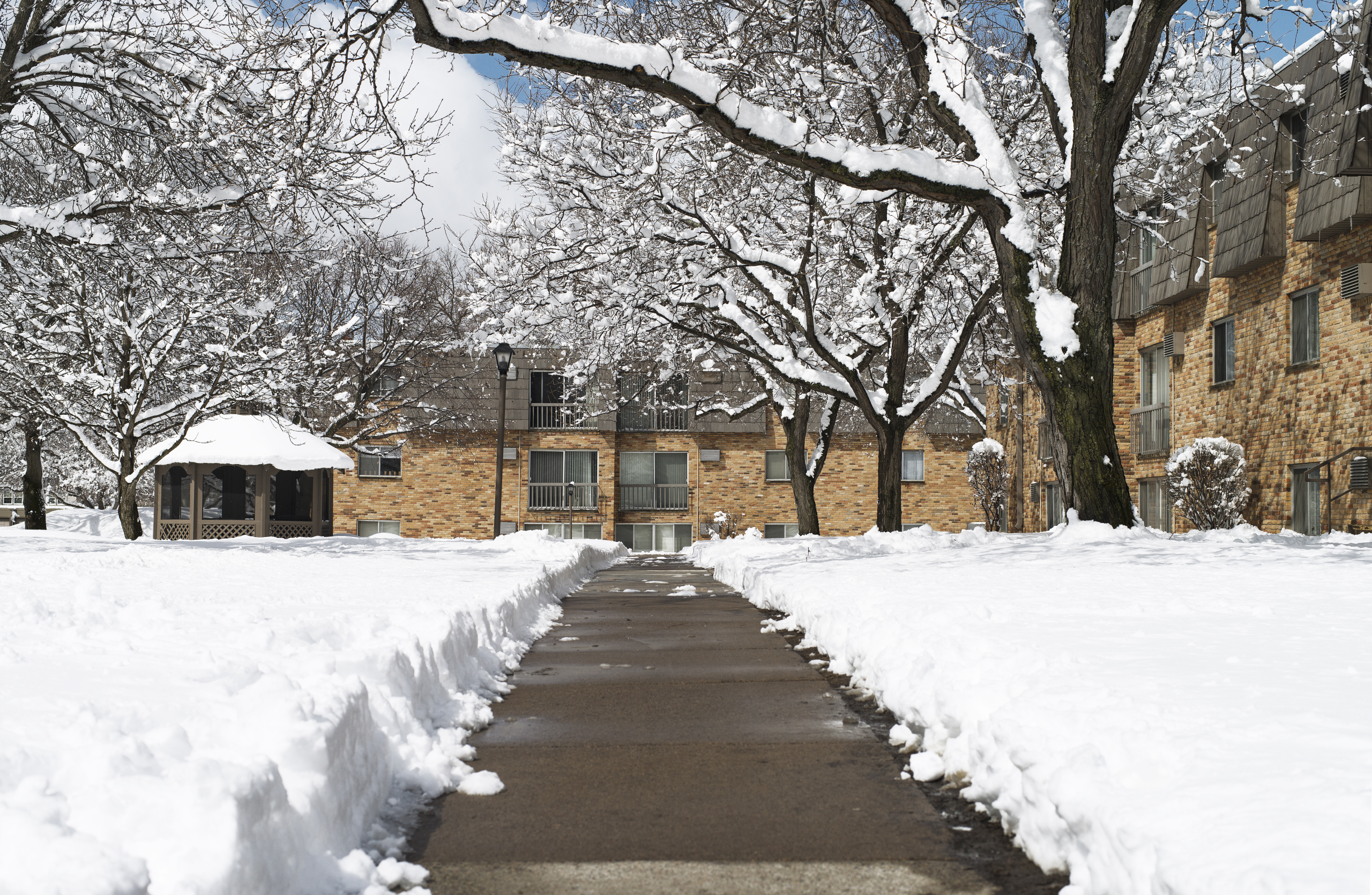 A walkway cleared of snow leading up to a building.