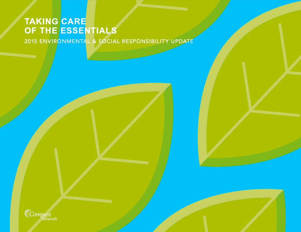 2015 ESG Report