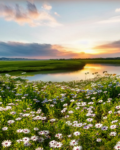 Compass Minerals Reinforces its Commitment to Environmental Stewardship During Earth Week