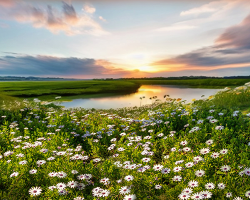 Compass Minerals Reinforces its Commitment to Environmental Stewardship During Earth Week